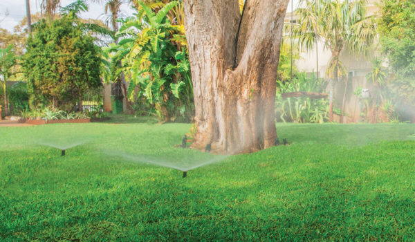 popup-sprinklers-pro-s-category
